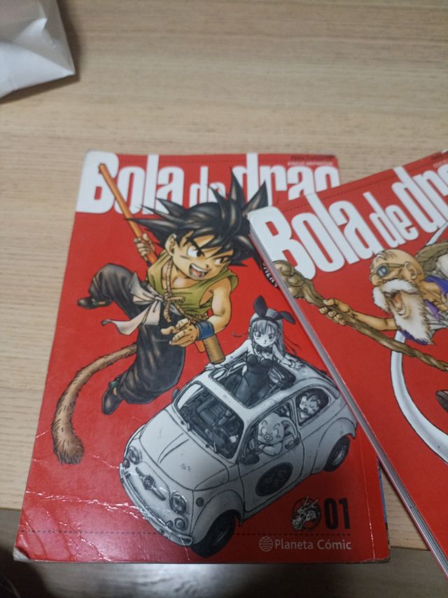 Llibres bola de drac