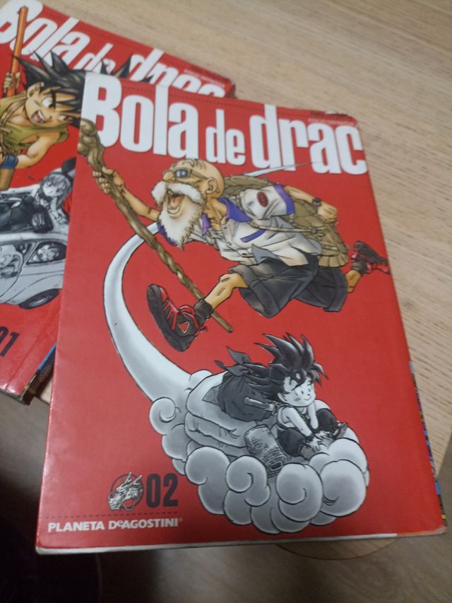 Llibres bola de drac