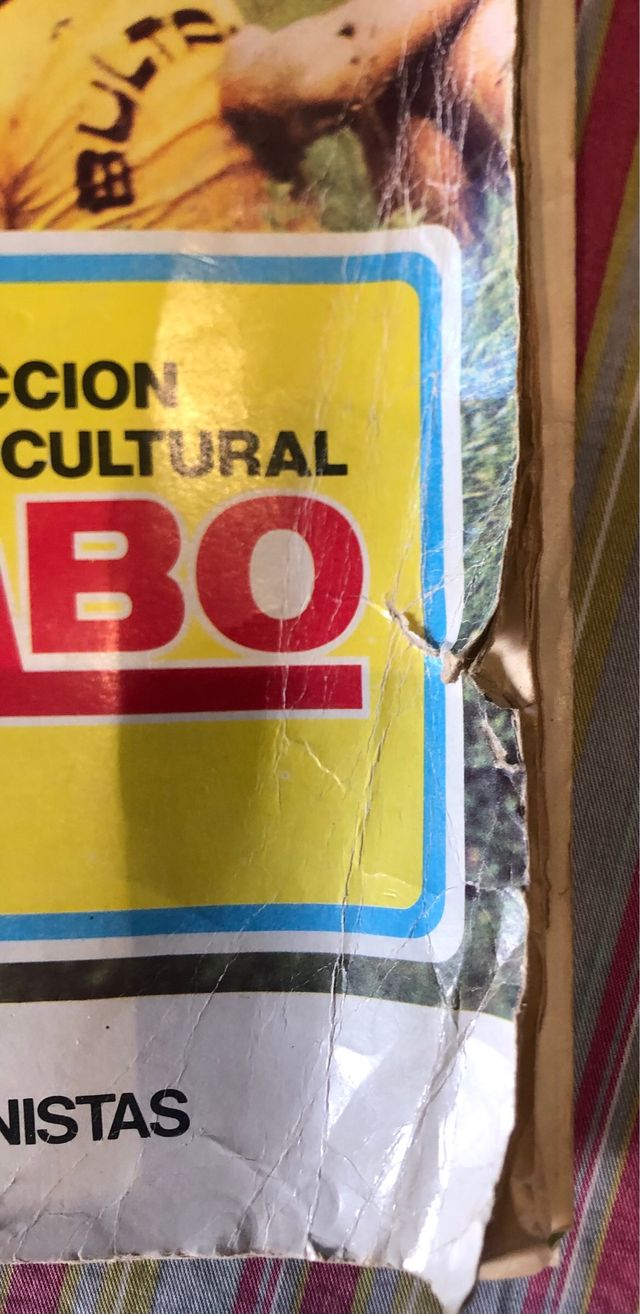 Álbum: Mundo De Las Motos