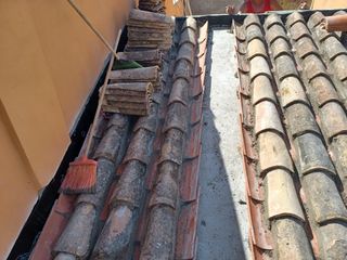 Cubiertas y tejas TLF.651429938