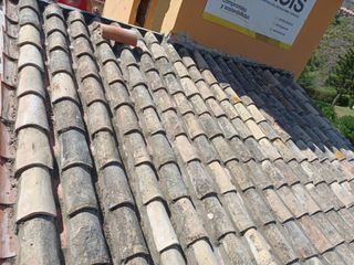 Cubiertas y tejas TLF.651429938
