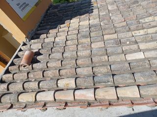 Cubiertas y tejas TLF.651429938