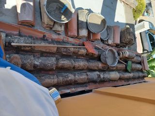 Cubiertas y tejas TLF.651429938