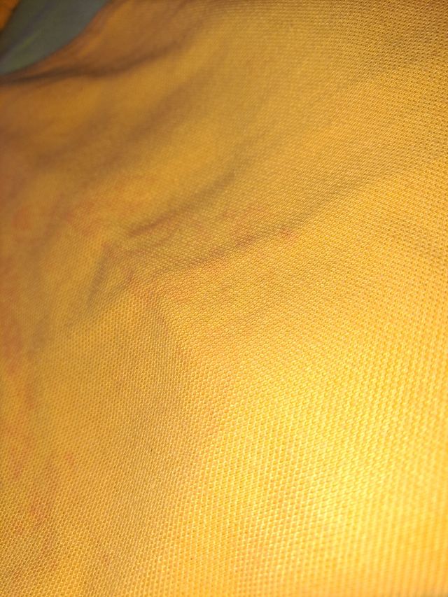 4 polo + 2 in regalo.