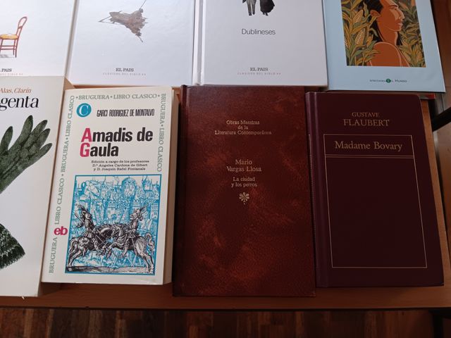 Lote clásicos literatura universal