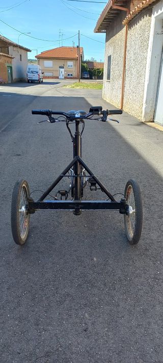 Bicicletta elettrica a 3 ruote