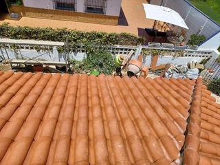 Cubiertas y tejas TLF.651429938