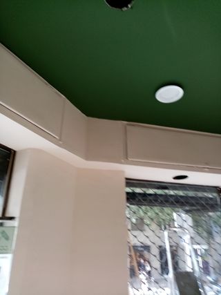 PINTOR PROFESIONAL ECONÓMICO