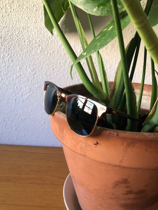 Ray-Ban Clubmaster