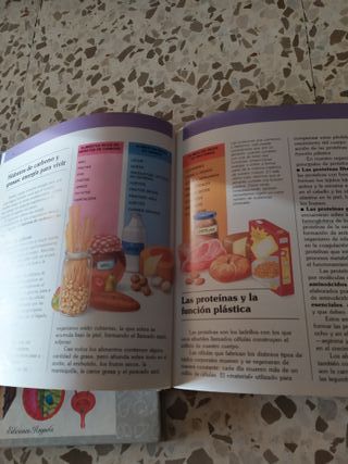 Enciclopdia Juvenil El Cuerpo Humano Años 90