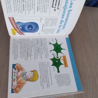 Enciclopdia Juvenil El Cuerpo Humano Años 90