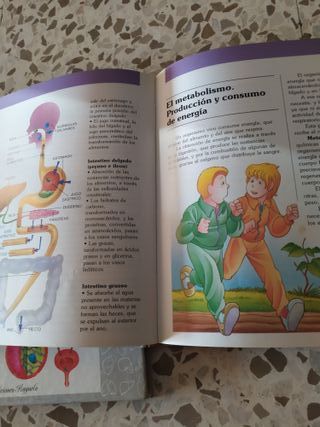 Enciclopdia Juvenil El Cuerpo Humano Años 90