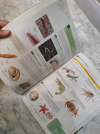 Biología y Geología 1° Bachillerato