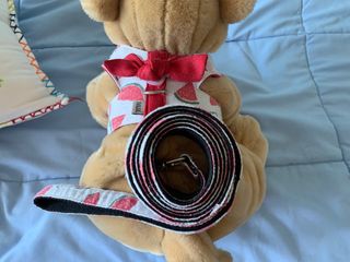 Arnes y correa perro pequeño