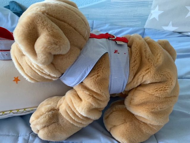 Arnes y correa perro pequeño