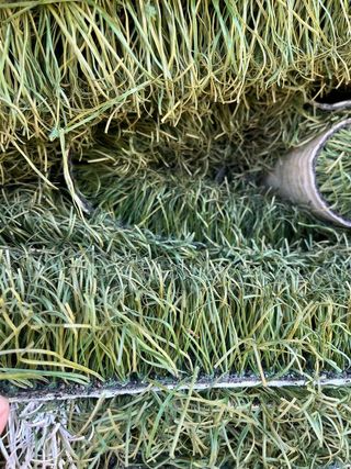 ♻️ CÉSPED,GRAN VARIEDAD