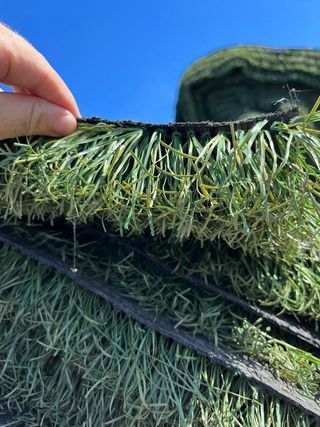 ♻️ CÉSPED,GRAN VARIEDAD