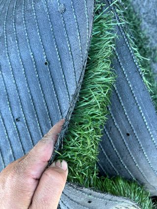 ♻️ CÉSPED,GRAN VARIEDAD