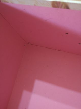 Pack 3 Cajas ordenación armario