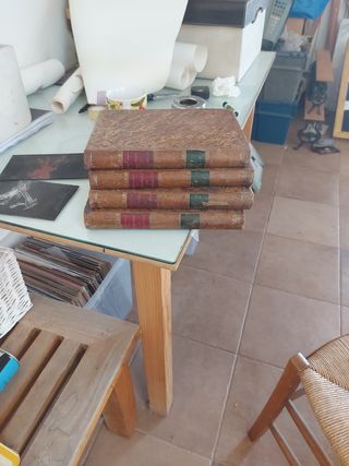 Diccionario de veterinaria 1890