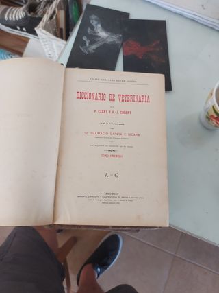 Diccionario de veterinaria 1890