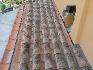 Cubiertas y tejas TLF.651429938