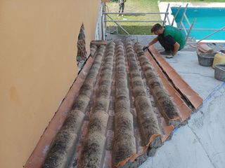 Cubiertas y tejas TLF.651429938