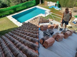 Cubiertas y tejas TLF.651429938