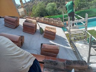 Cubiertas y tejas TLF.651429938