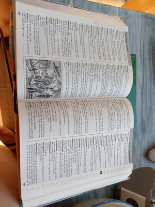 Diccionari d'us del Valencià