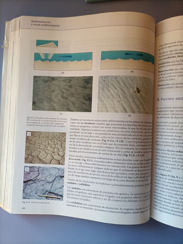 Libro de geología