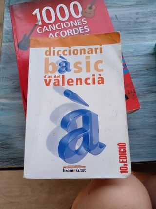 Diccionari bàsic d'us del valencià