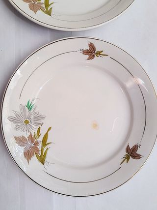 Bandeja y 3 platos San Claudio Oviedo.