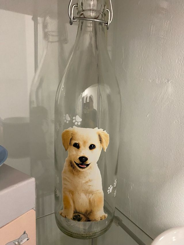 BOTELLA PERRO