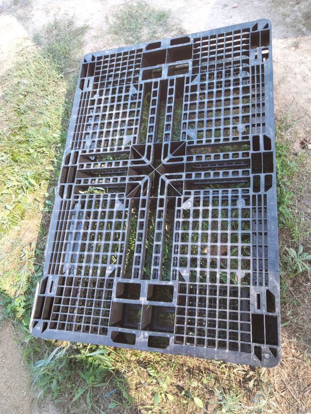 palets 1:10 x 0,74 x 12 de alto.