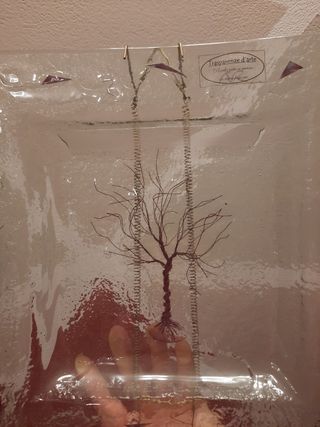 Piatto in vetro 