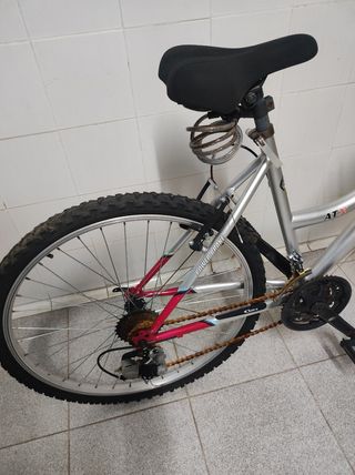 Bicicleta de paseo cups