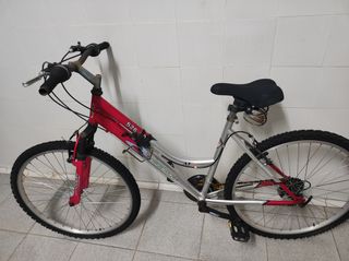 Bicicleta de paseo cups
