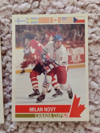 Collezione Vintage Carte da Hockey 1976