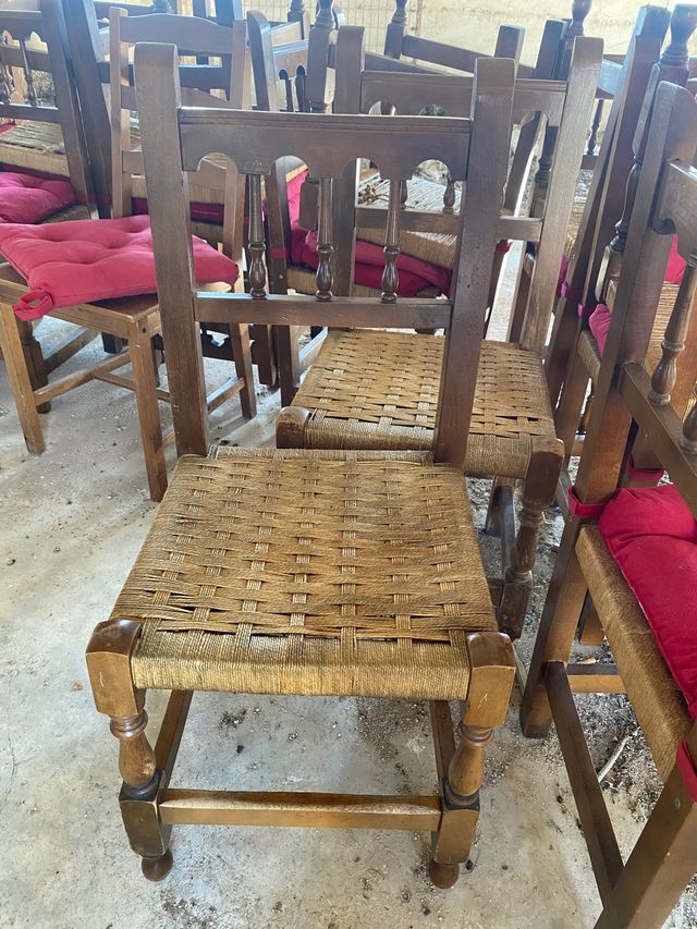 Sillas de madera Maciza