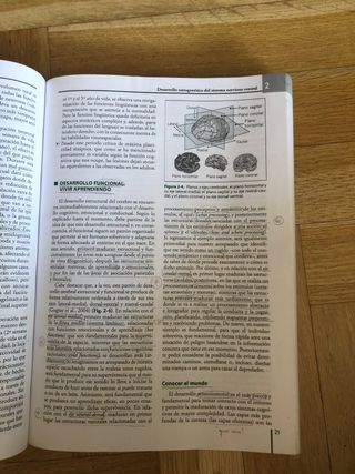 Neuropsicologia del Desarrollo UNED