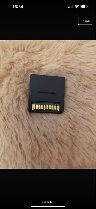 gioco nintendo ds