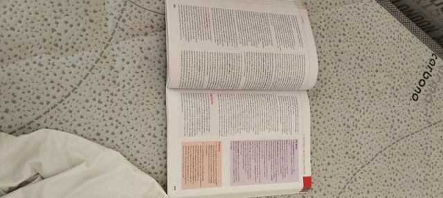 CAMBRIDGE INTERNATIONAL SOCIOLOGY