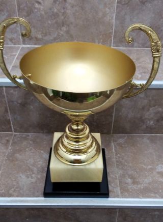 COPA 18 TROFEO ADORNO DECORACIÓN DEPORTE REGALO