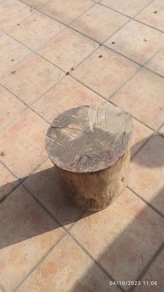 Tronco madera