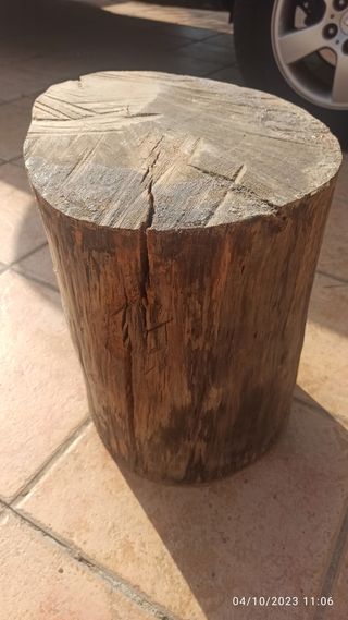 Tronco madera