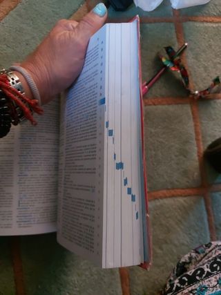 Diccionario lengua española Vox