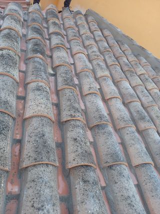 Cubiertas y tejas TLF.651429938