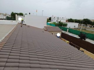 Cubiertas y tejas TLF.651429938