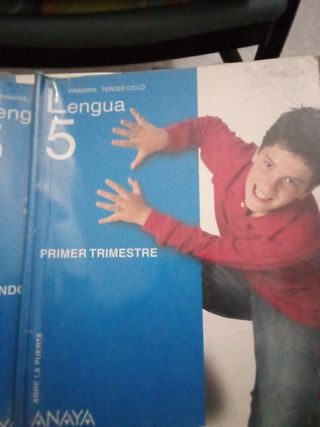 Lengua 5 primaria tercer ciclo